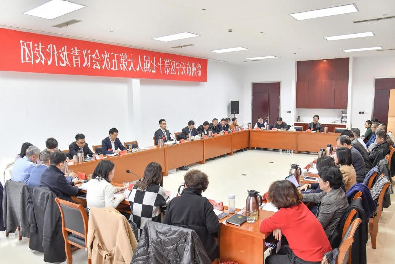 青龙代表团