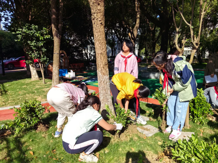十大靠谱外围APP平台