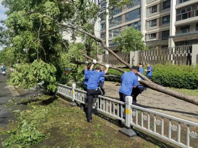 十大靠谱外围APP平台