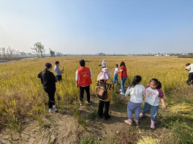 十大靠谱外围APP平台