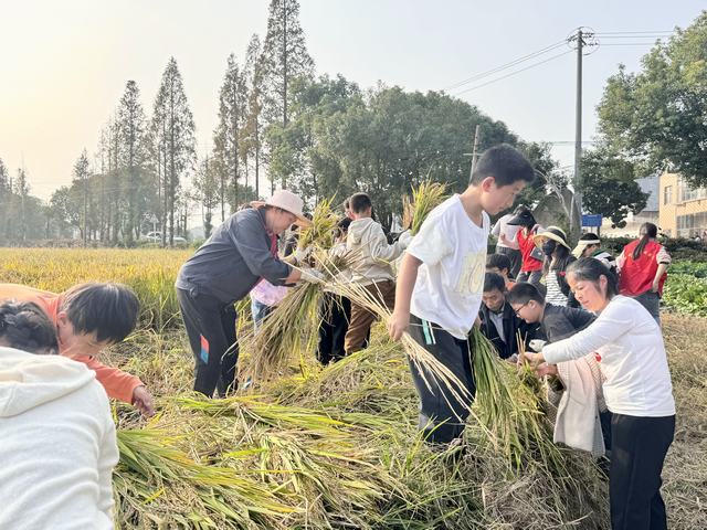 十大靠谱外围APP平台