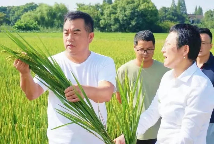 十大靠谱外围APP平台