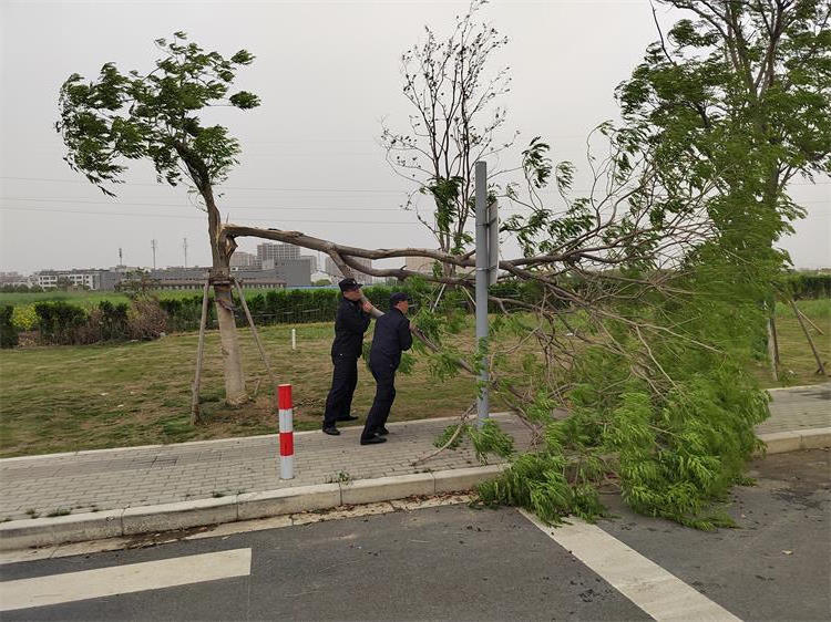 十大靠谱外围APP平台