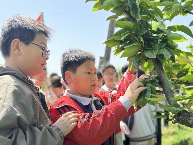 十大靠谱外围APP平台