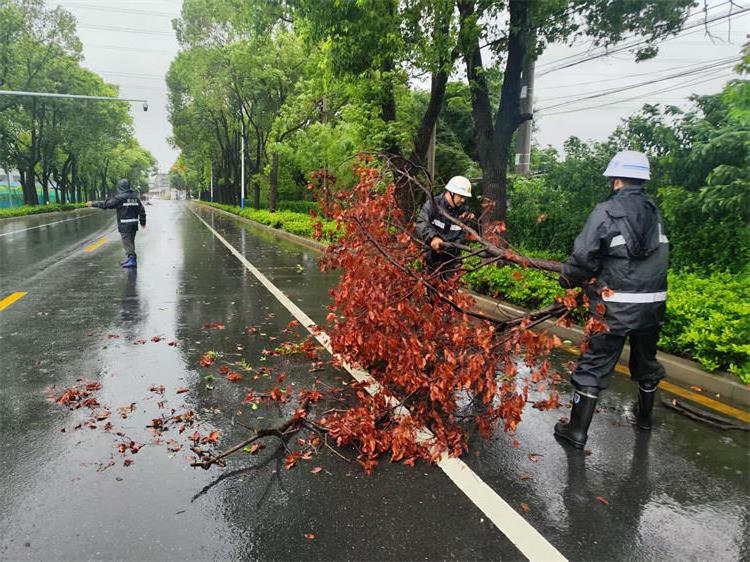 十大靠谱外围APP平台
