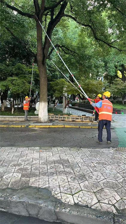 十大靠谱外围APP平台